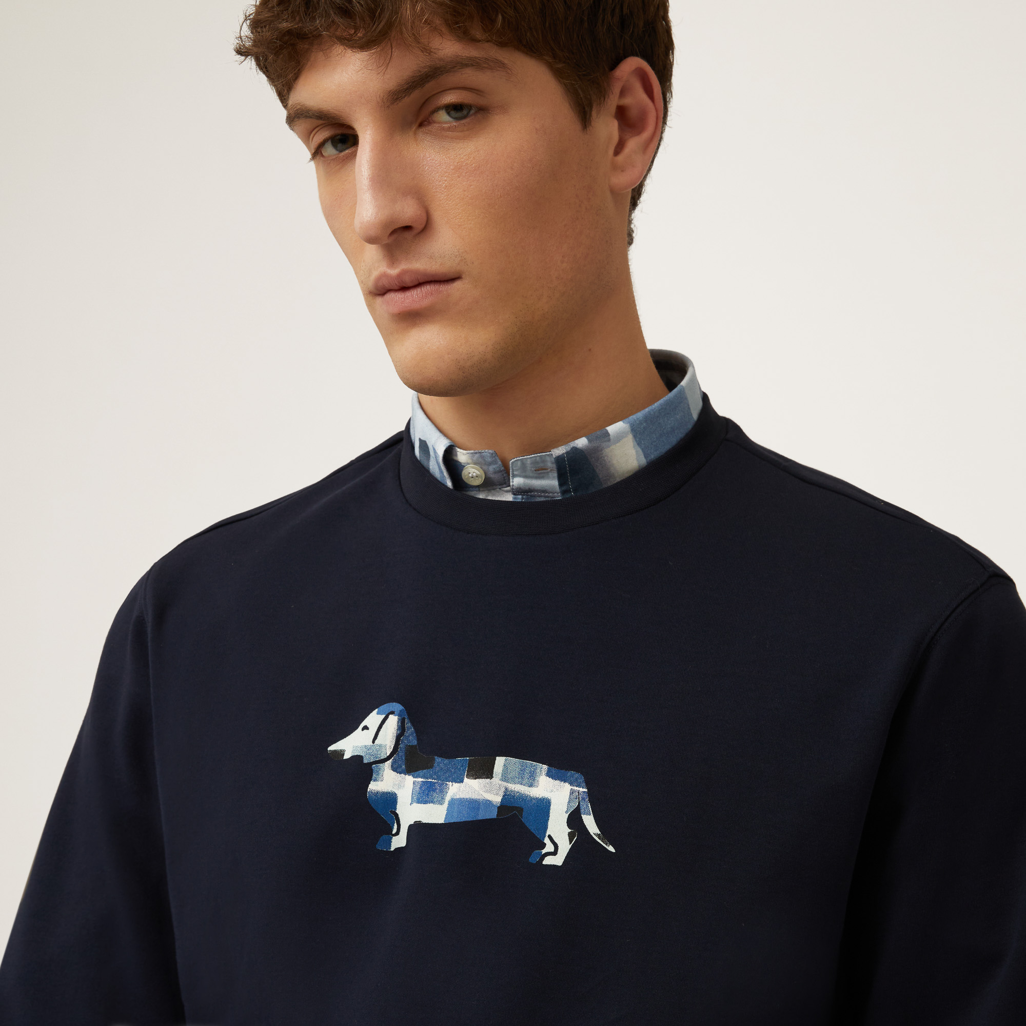 Cotton Sweatshirt with Dachshund, Navy Blue, large image number 2