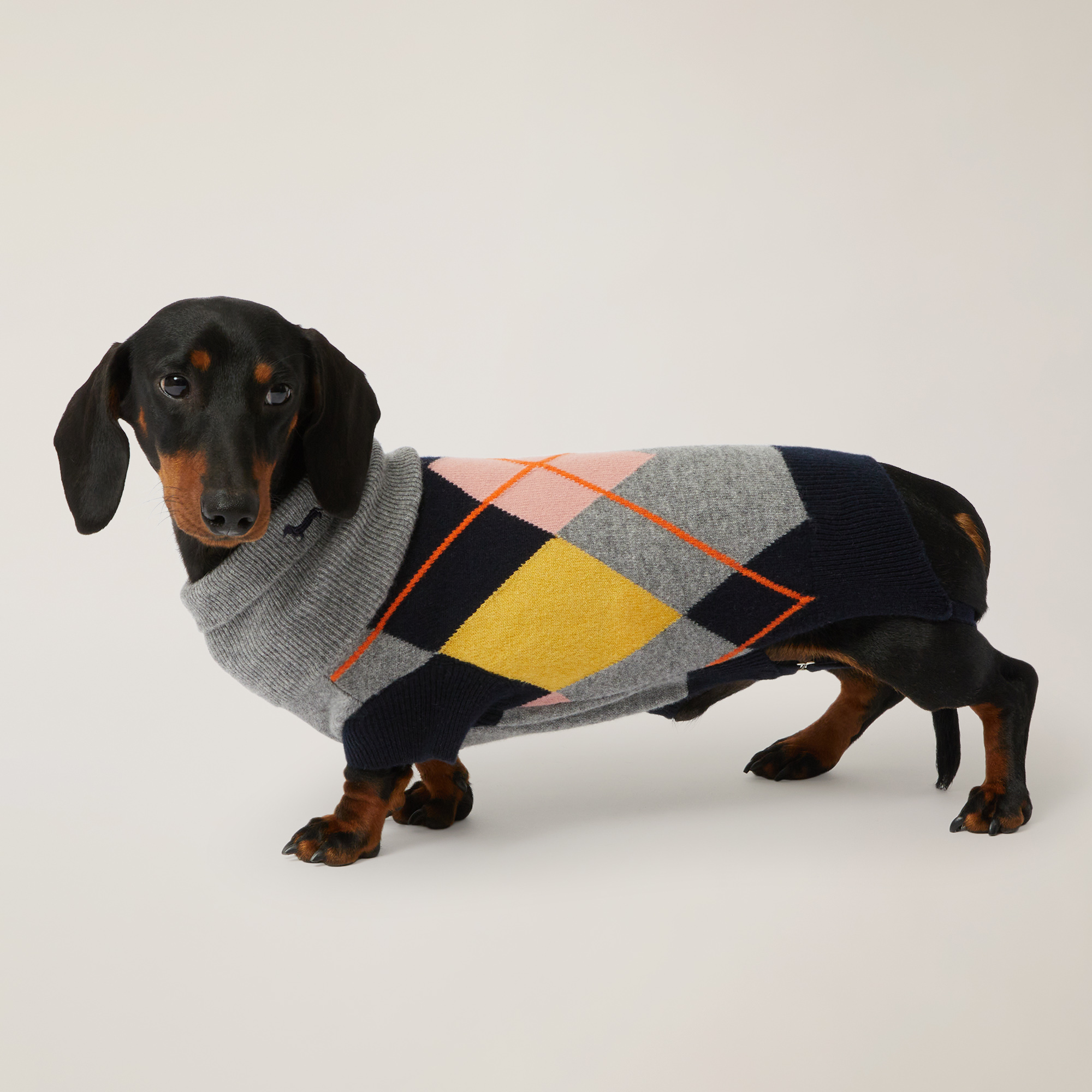 My Dog & I Dog Sweater, Grey, large image number 0