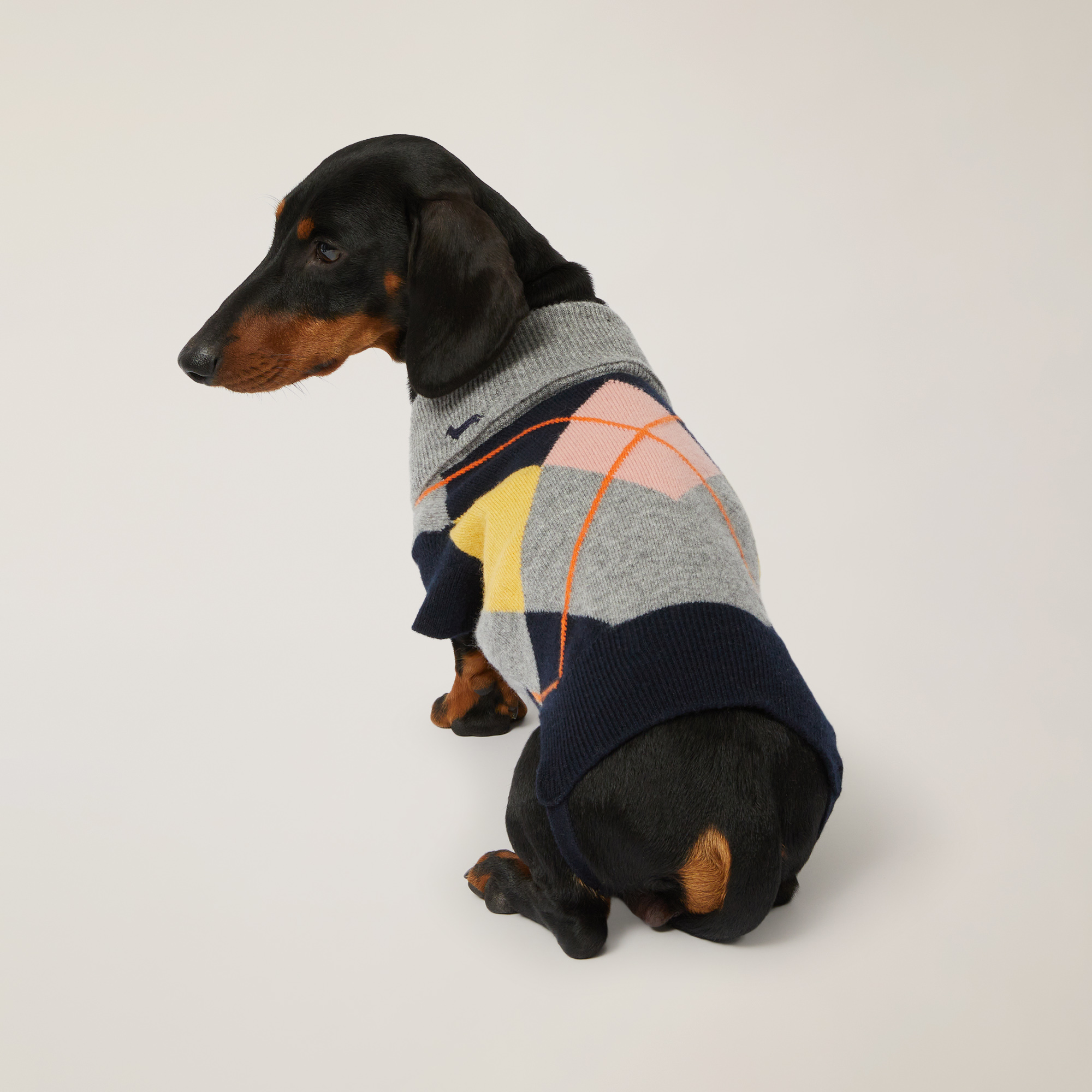 My Dog & I Dog Sweater, Grey, large image number 1