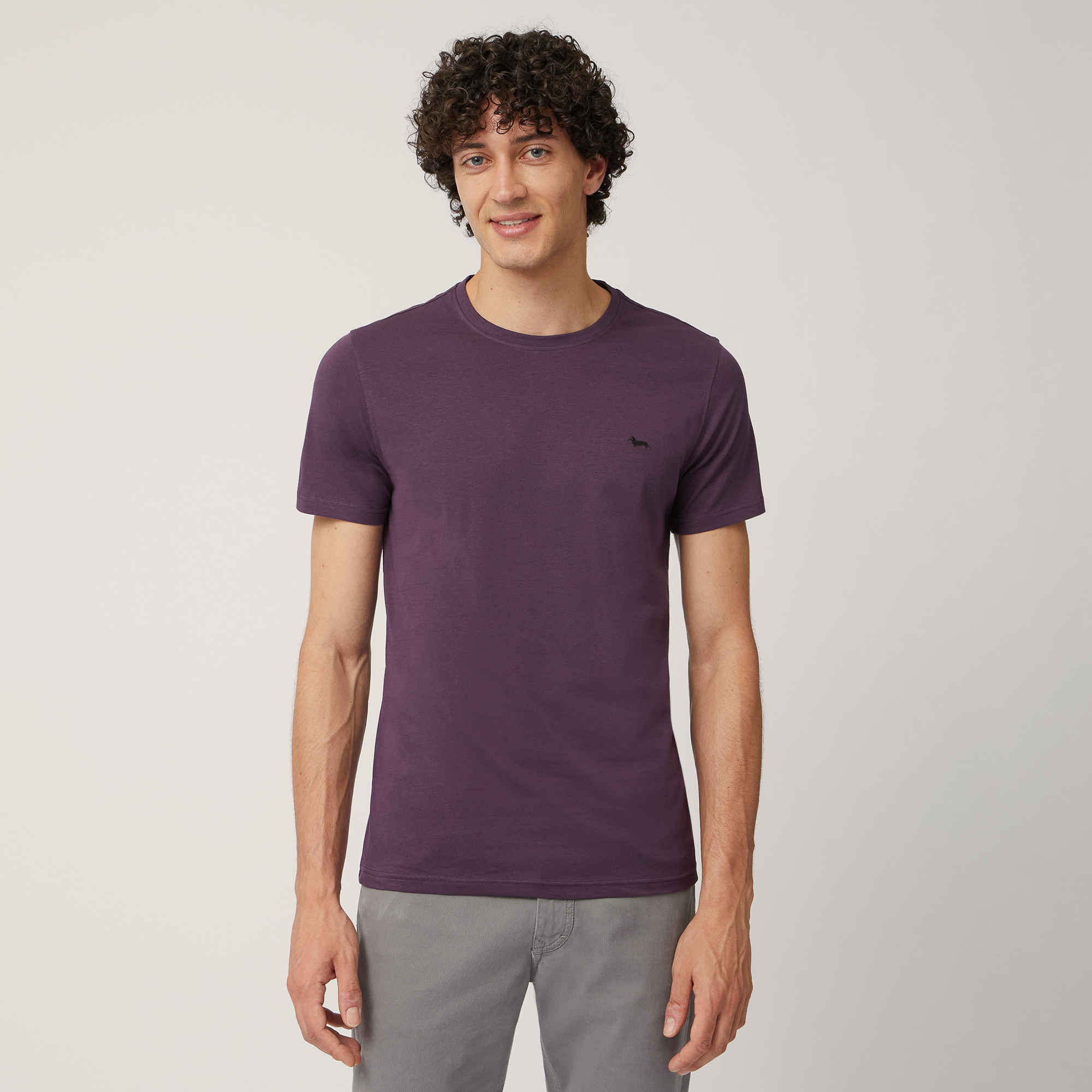 Narrow T-Shirt with Dachshund, Plum, large