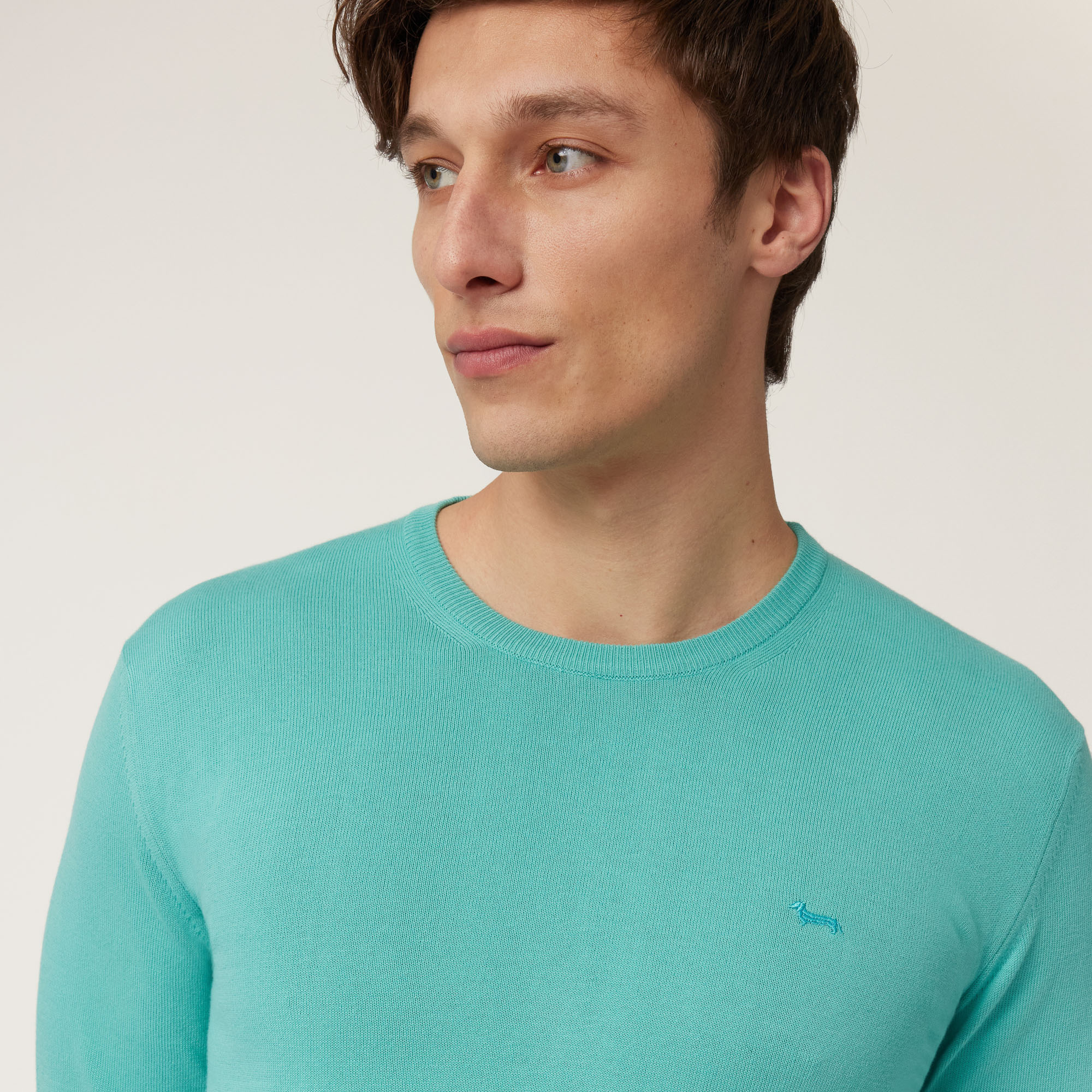 Cotton Crew Neck Pullover, Turquoise, large image number 2