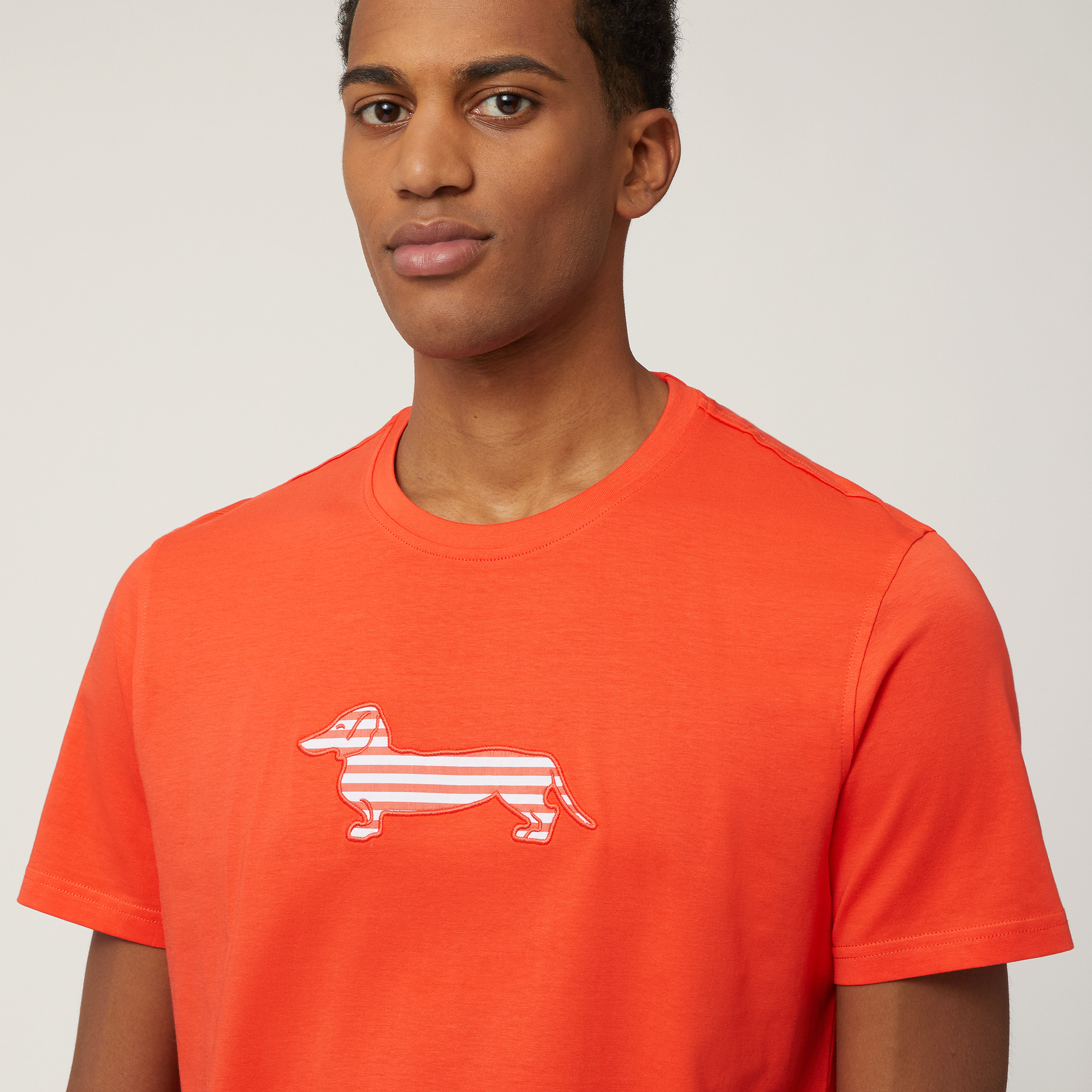 Sorbet T-Shirt with Dachshund, Orange, large image number 2