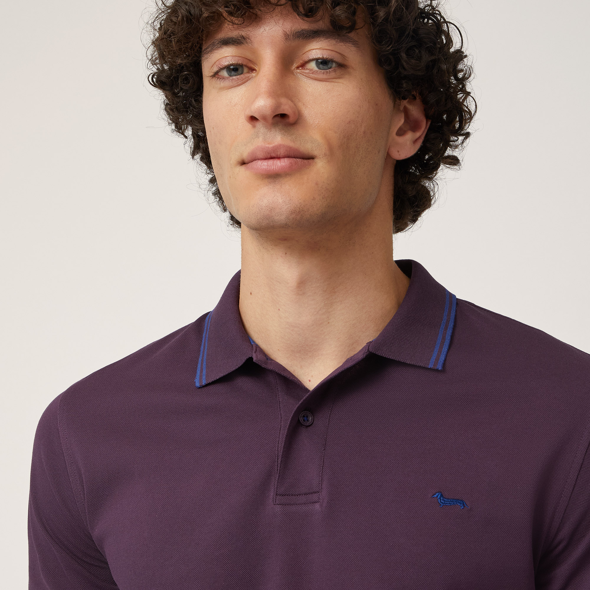 Vietri Polo Shirt with Striped Details, Plum, large image number 2