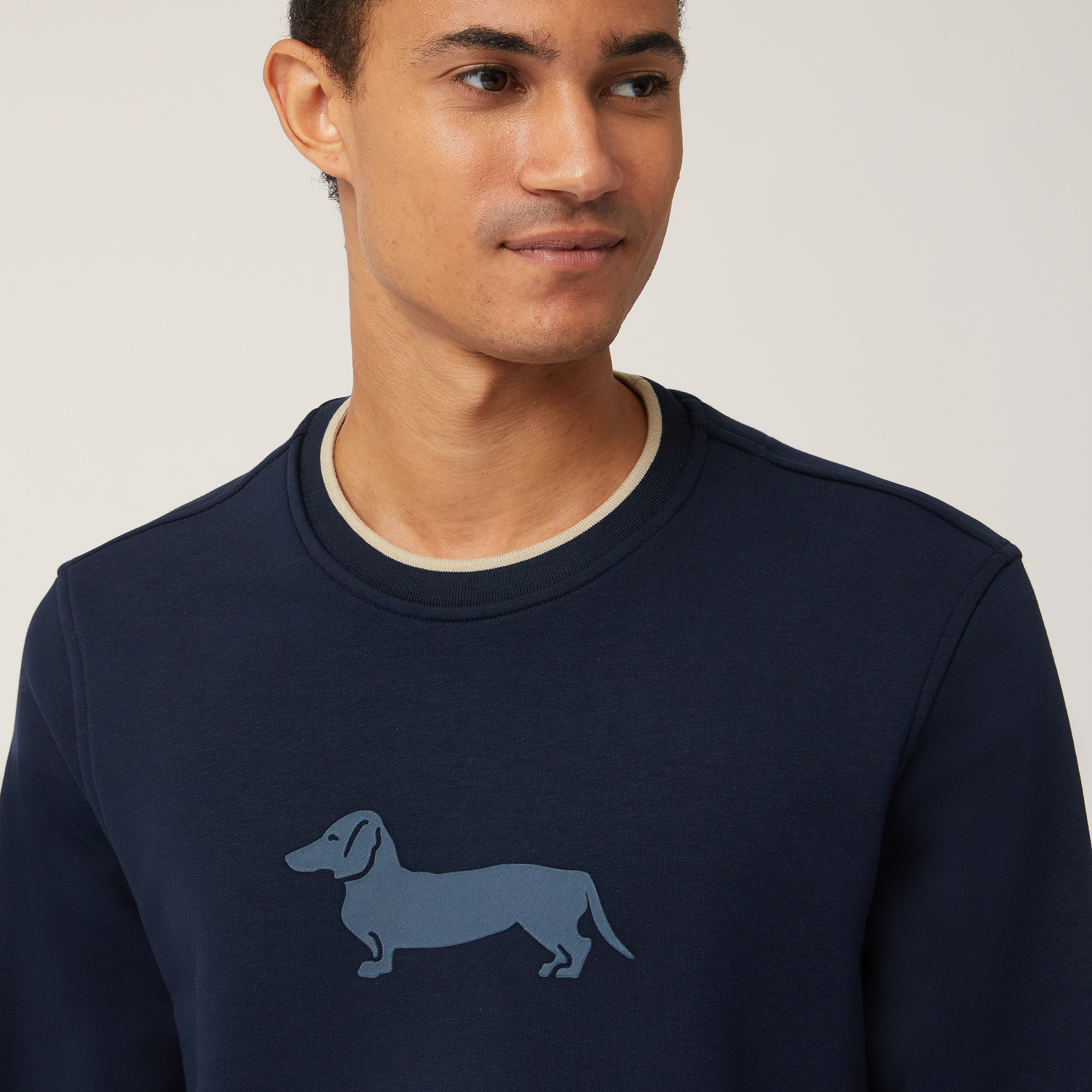 Sweater with Printed Dachshund, Blue , large image number 2