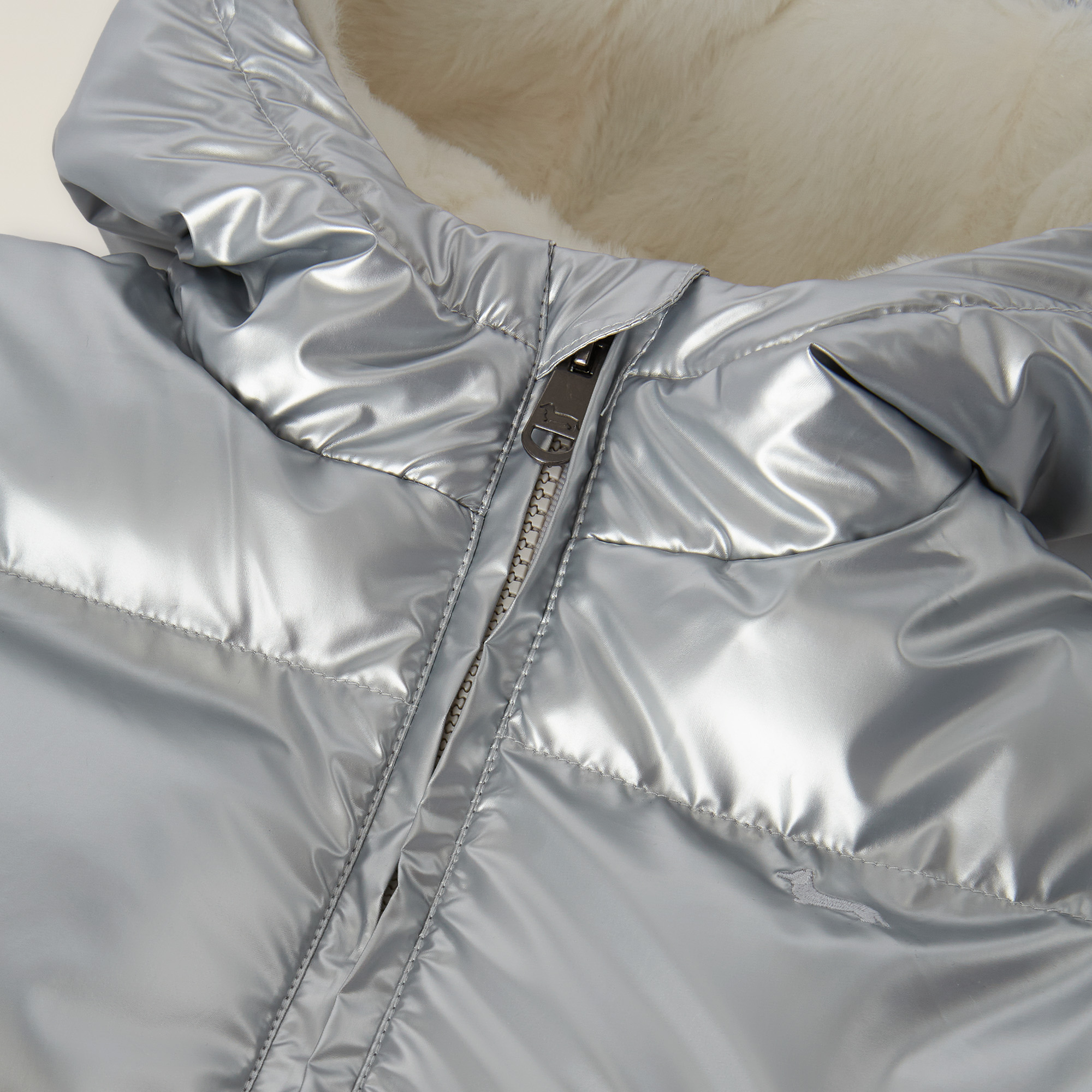 Silver Nylon Long Jacket With Hood And Embroidered Logo, Pearl Grey, large image number 2