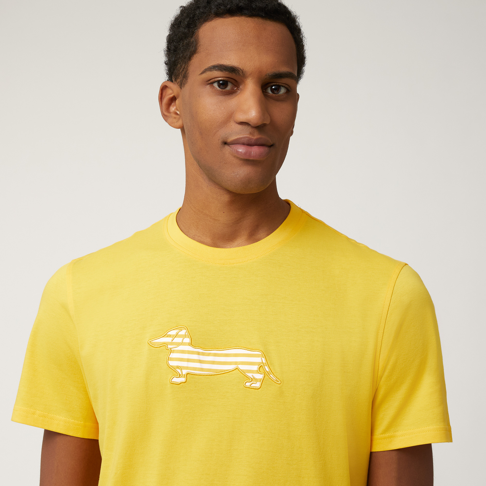 Sorbet T-Shirt with Dachshund, Canary Yellow, large image number 2