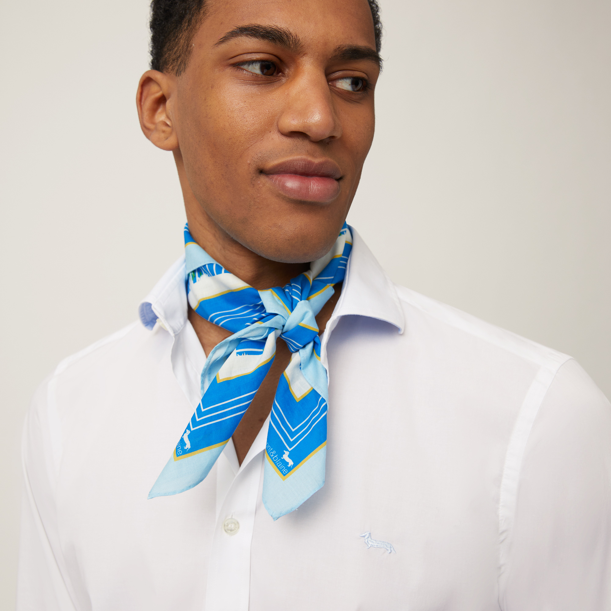 Bandana with Stripes and Daisies, Light Blue, large image number 2