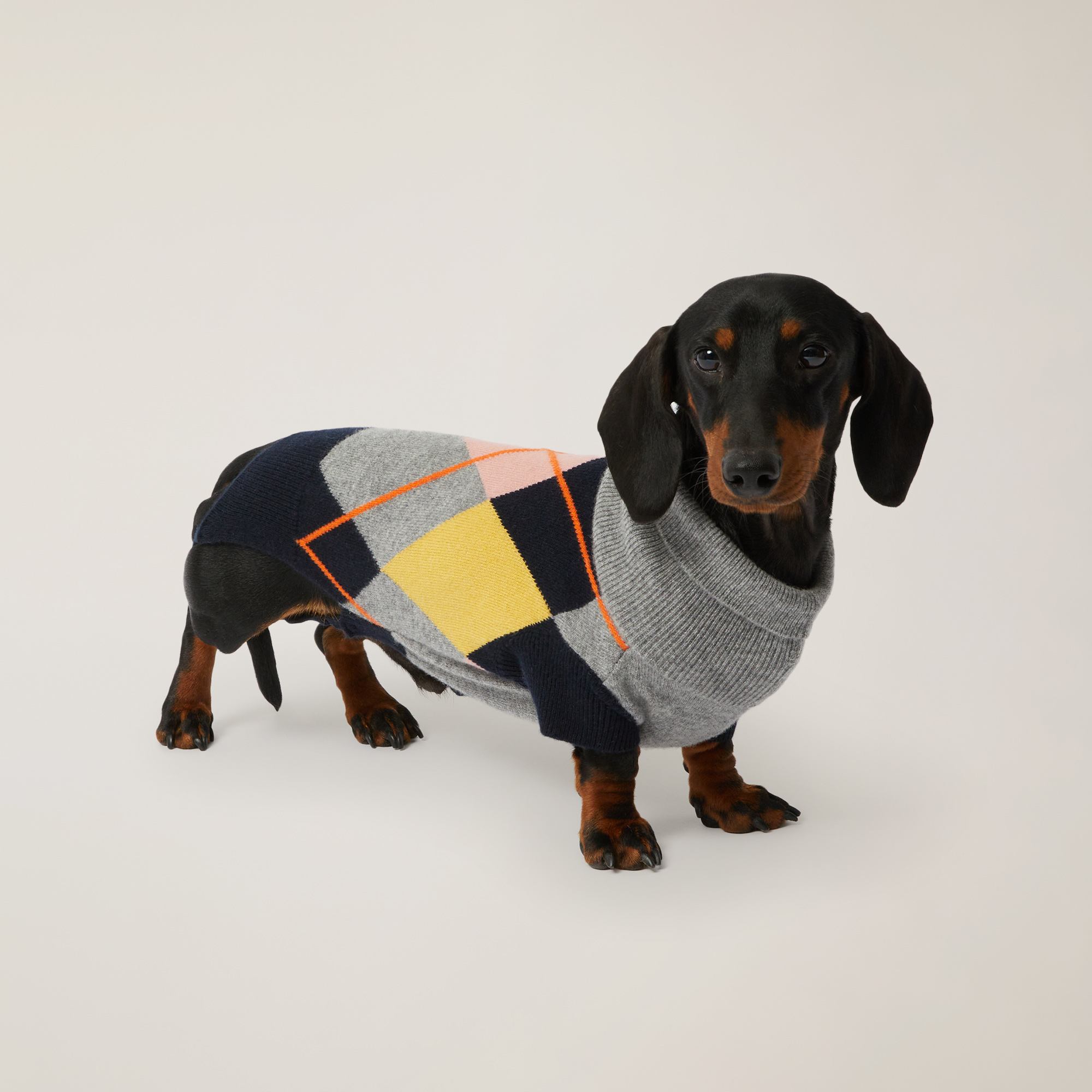 My Dog & I Dog Sweater, Grey, large image number 3