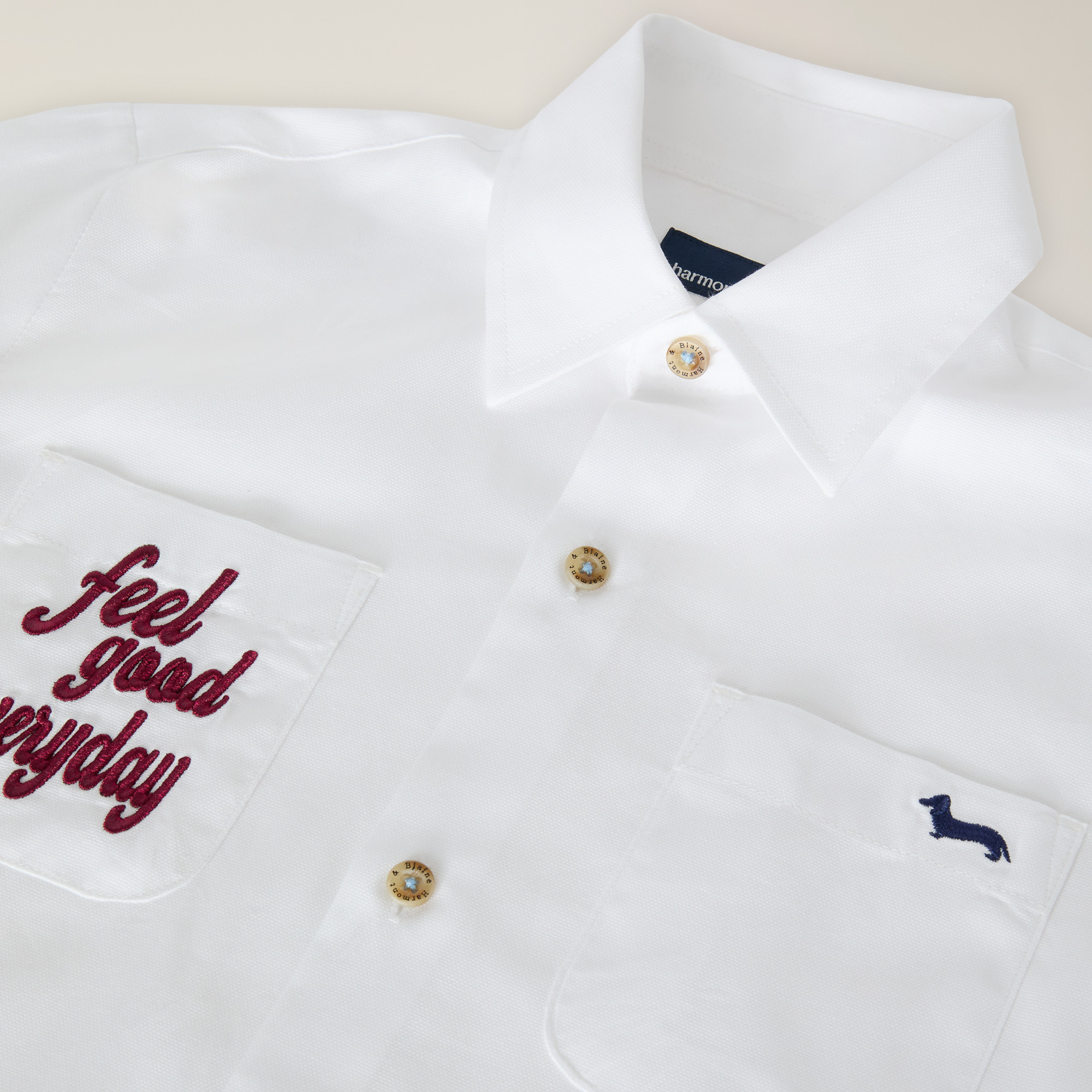 Oxford Cotton Shirt With 3D Embroidery, White, large image number 2