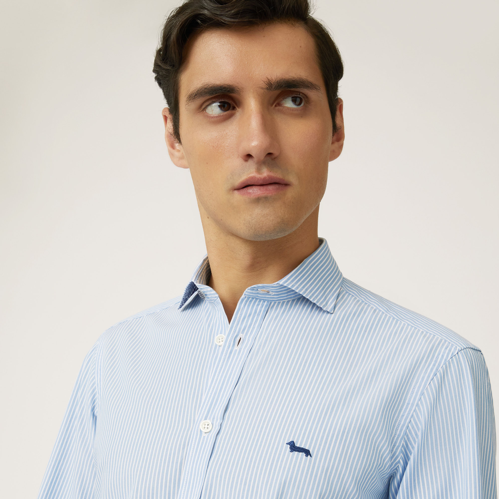 Camicia In Cotone Organico Con Microrighe in Azzurro: Camicie Di Lusso ...