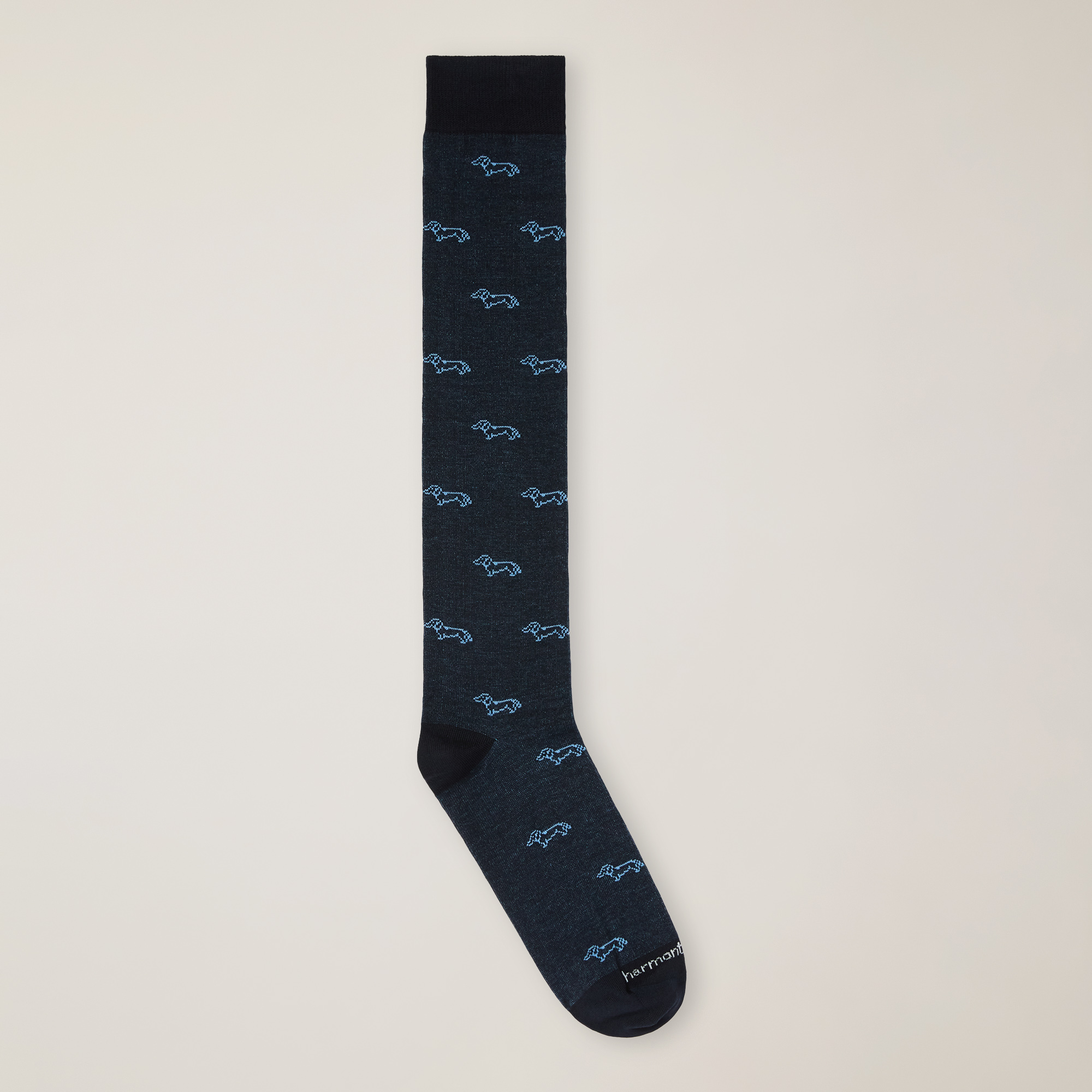 All-Over Dachshund Long Socks, Navy Blue, large