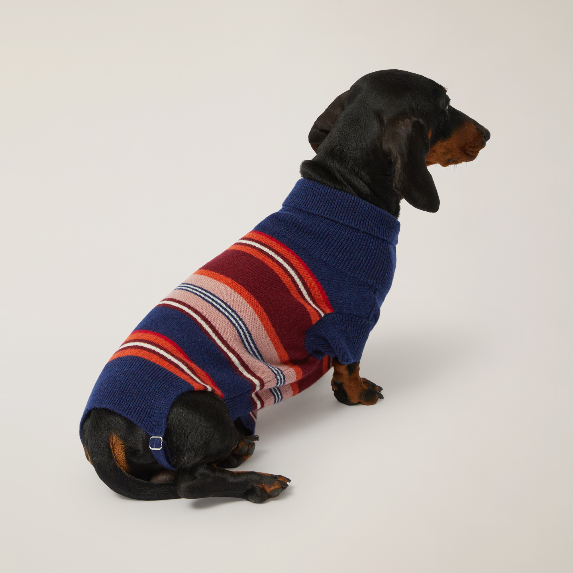 MY DOG & I Dog Sweater