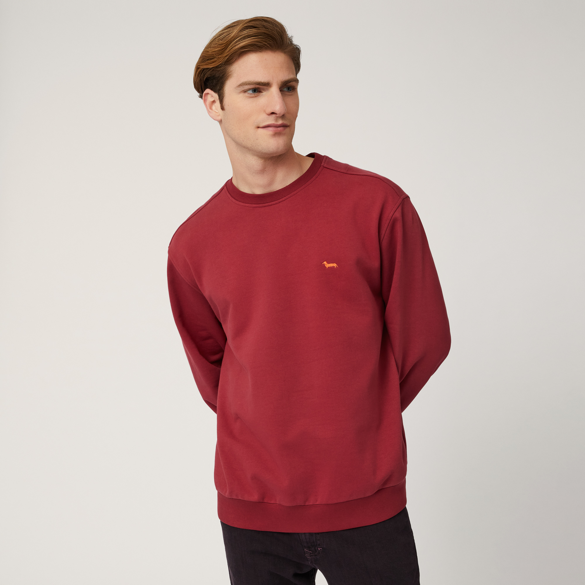 Pullover mit Dackel-Stickerei